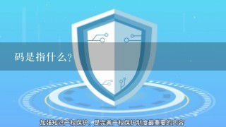 码是指什么？