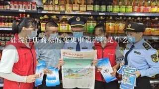 硅烷注册商标的变更申请流程是什么?