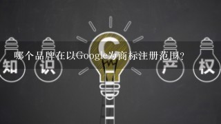 哪个品牌在以Google为商标注册范围?